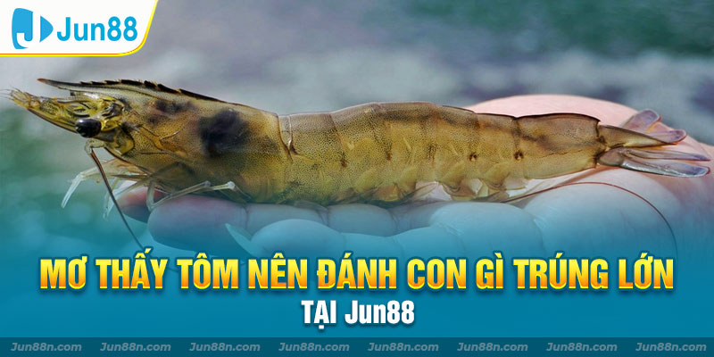 Mơ thấy tôm nên đánh con gì trúng lớn tại Jun88 